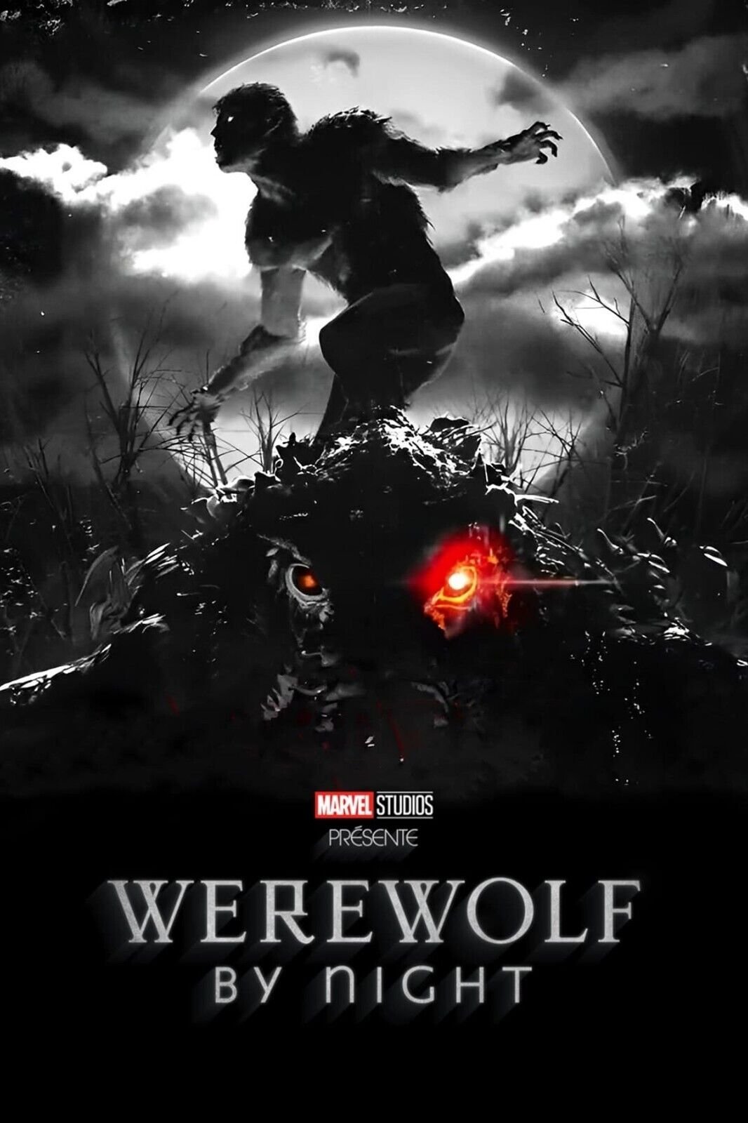 Film or television project poster