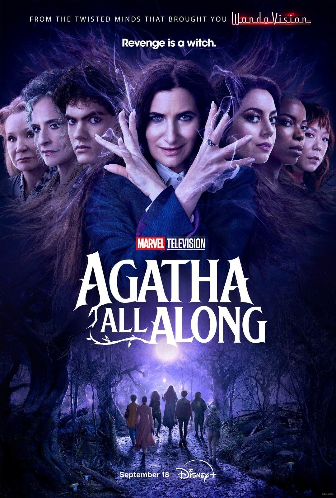 Film or television project poster