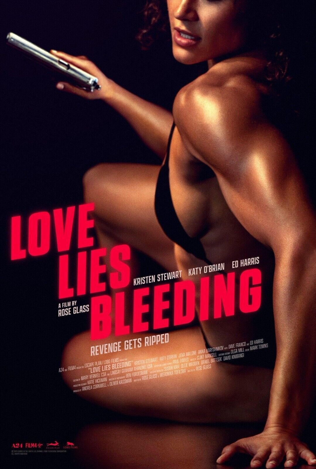 Film or television project poster