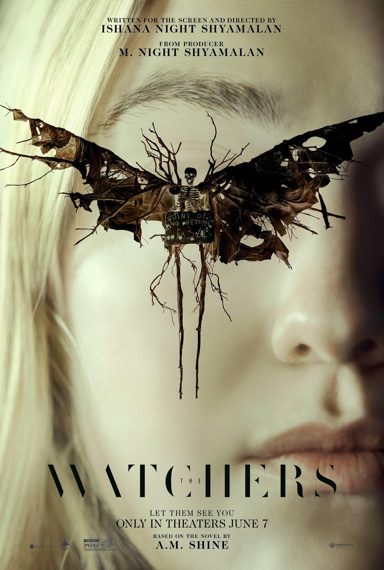 Film or television project poster