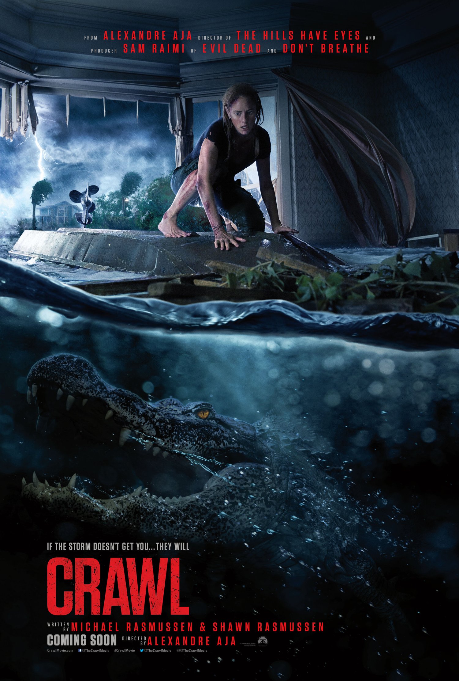 Film or television project poster